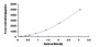 Typical Standard Curve for DPP9 ELISA (Sandwich)