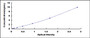 Typical Standard Curve for DNMT1 ELISA (Sandwich)