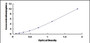 Typical Standard Curve for DUSP5 ELISA (Sandwich)