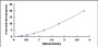 Typical Standard Curve for FADS3 ELISA (Sandwich)