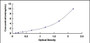 Typical Standard Curve for FTH ELISA (Sandwich)