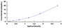 Typical Standard Curve for FAPa ELISA (Sandwich)