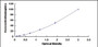 Typical Standard Curve for gGT5 ELISA (Sandwich)