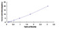 Typical Standard Curve for GRIN2B ELISA (Sandwich)