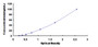 Typical Standard Curve for HSP10 ELISA (Sandwich)