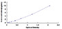 Typical Standard Curve for INPP4A ELISA (Sandwich)