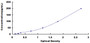 Typical Standard Curve for IL12 ELISA (Sandwich)