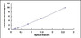 Typical Standard Curve for NCAM2 ELISA (Sandwich)