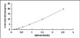 Typical Standard Curve for NFASC ELISA (Sandwich)