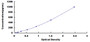 Typical Standard Curve for NEF3 ELISA (Sandwich)