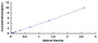 Typical Standard Curve for NOX1 ELISA (Sandwich)