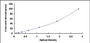 Typical Standard Curve for PLD2 ELISA (Sandwich)