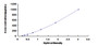 Typical Standard Curve for RELN ELISA (Sandwich)