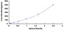 Typical Standard Curve for S100A8 ELISA (Sandwich)