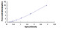 Typical Standard Curve for SPTLC2 ELISA (Sandwich)