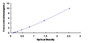 Typical Standard Curve for Slit1 ELISA (Sandwich)