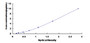 Typical Standard Curve for SNX17 ELISA (Sandwich)