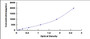 Typical Standard Curve for STC1 ELISA (Sandwich)