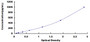 Typical Standard Curve for TGFb2 ELISA (Sandwich)