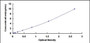 Typical Standard Curve for WNT9B ELISA (Sandwich)