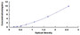 Typical Standard Curve for YY1 ELISA (Sandwich)