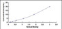 Typical Standard Curve for CRYbA1 ELISA (Sandwich)