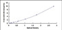 Typical Standard Curve for ECH1 ELISA (Sandwich)