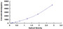 Typical Standard Curve for OCTN1 ELISA (Sandwich)