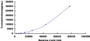 Typical Standard Curve for SCFR CLIA (Sandwich)