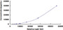 Typical Standard Curve for PSA CLIA (Sandwich)