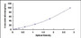 Typical Standard Curve for OGT ELISA (Sandwich)