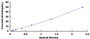 Typical Standard Curve for ATG5 ELISA (Sandwich)