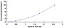 Typical Standard Curve for CLOCK ELISA (Sandwich)