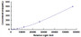 Typical Standard Curve for APOB48 CLIA (Sandwich)