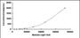 Typical Standard Curve for KL CLIA (Sandwich)