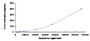 Typical Standard Curve for ANGPT1 CLIA (Sandwich)