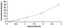 Typical Standard Curve for LPS ELISA (Sandwich)