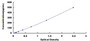 Typical Standard Curve for TNFb ELISA (Sandwich)