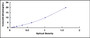 Typical Standard Curve for SEMA5B ELISA (Sandwich)