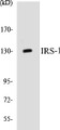 Western blot analysis of extracts from NIH-3T3 cells, using IRS-1 (Ab-312) Antibody. 