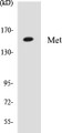 Western blot analysis of extracts from HepG2 cells, using Met (Ab-1349) Antibody. 