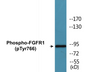 Western blot analysis of extracts from HepG2 cells treated with EGF 200ng/ml 30', using FGFR1 (Phospho-Tyr766) Antibody.