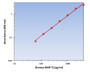 Human BMP-7 ELISA Kit allows for the detection and quantification of endogenous levels of natural and/or recombinant Human BMP-7 proteins within the range of 63-4000 pg/ml.