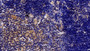 DAB staining on IHC-P; Sample: Rat Thymus Tissue; Primary Ab: 20μg/ml Rabbit Anti-Rat JAK2 Antibody Second Ab: 2µg/mL HRP-Linked Caprine Anti-Rabbit IgG Polyclonal Antibody