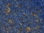 DAB staining on IHC-P; Samples: Mouse Lymph node Tissue)