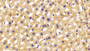 DAB staining on IHC-P; Samples: Mouse Liver Tissue;  Primary Ab: 10μg/ml Rabbit Anti-Mouse PLCe1 Antibody Second Ab: 2µg/mL HRP-Linked Caprine Anti-Rabbit IgG Polyclonal Antibody 