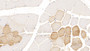 DAB staining on IHC-P; Samples: Human Skeletal muscle Tissue; Primary Ab: 10µg/ml Mouse Anti-Human TDO Antibody Second Ab: 2µg/mL HRP-Linked Caprine Anti-Mouse IgG Polyclonal Antibody