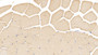 DAB staining on IHC-P; Samples: Human Skeletal muscle Tissue; Primary Ab: 10µg/ml Mouse Anti-Human TNNT2 Antibody Second Ab: 2µg/mL HRP-Linked Caprine Anti-Mouse IgG Polyclonal Antibody