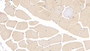 DAB staining on IHC-P; Samples: Human Skeletal muscle Tissue; Primary Ab: 40µg/ml Mouse Anti-Human TNNT2 Antibody Second Ab: 2µg/mL HRP-Linked Caprine Anti-Mouse IgG Polyclonal Antibody