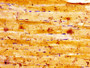 IHC image diluted at 1:100 and staining in paraffin-embedded human skeletal muscle tissue performed on a Leica BondTM system. After dewaxing and hydration, antigen retrieval was mediated by high pressure in a citrate buffer (pH 6.0). Section was blocked with 10% normal goat serum 30min at RT. Then primary antibody (1% BSA) was incubated at 4°C overnight. The primary is detected by a biotinylated secondary antibody and visualized using an HRP conjugated SP system.